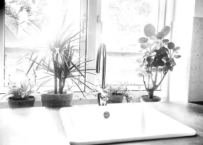 Apartman Saltwater *